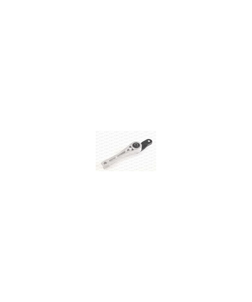 BIELLA SUP.MOT.GOLF V 1 9 TDI/2 0 TDI