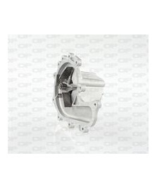 POMPA ACQUA DUCATO - TRANSIT - JUMPER