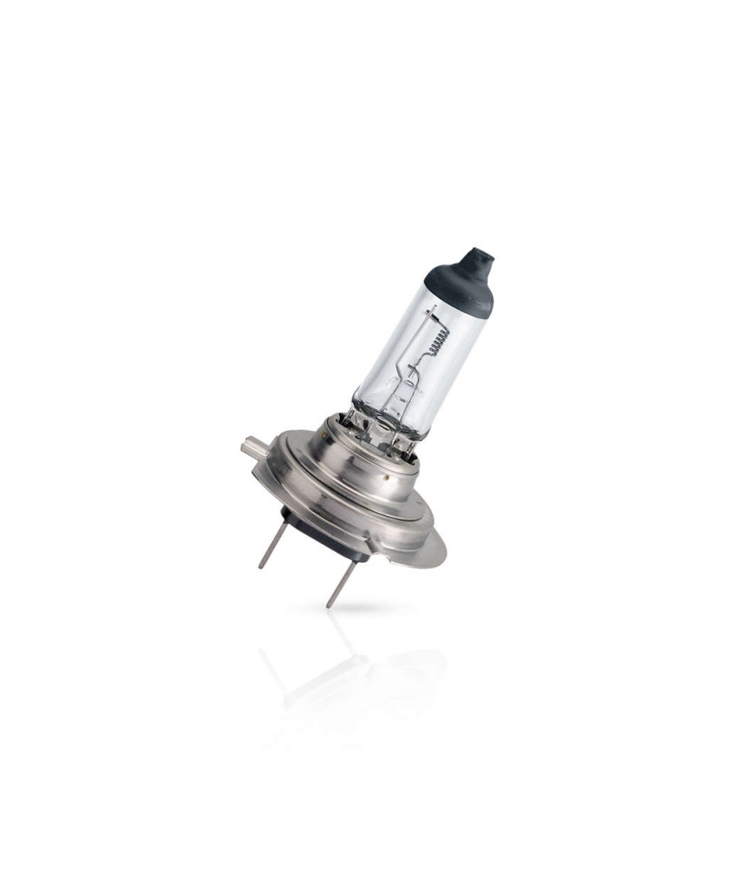 H7 MASTERDUTY 24V 70W PX26D