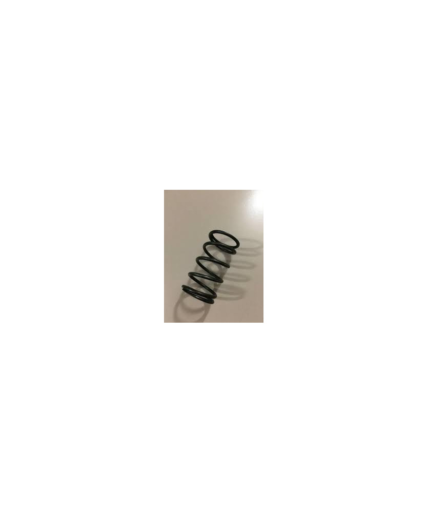 MOLLA APE MP P501 P601