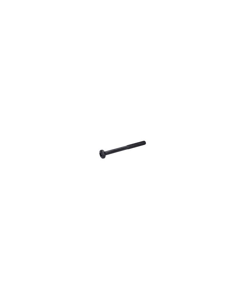VITE. CIL. IMP. TORX M6X55 PER FILTRO   ARIA VESPA SCOOTER