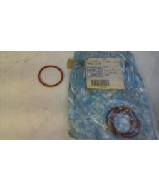 ANELLO ORING INIETTORI E CORPO FARFALLATO QUARGO PORTER LIGIER