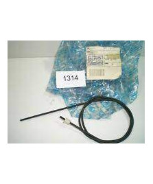CAVETTO CONTAKM. FREE DELIVERY