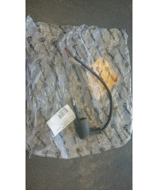 CAVETTO PER SENSORE OLIO X9 250