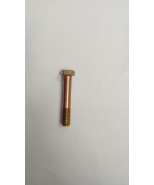 VITE PER PINZA FRENO PORTER D10