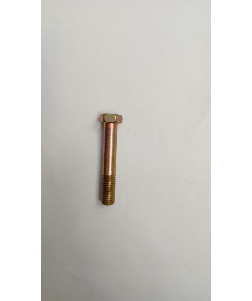 VITE PER PINZA FRENO PORTER D10