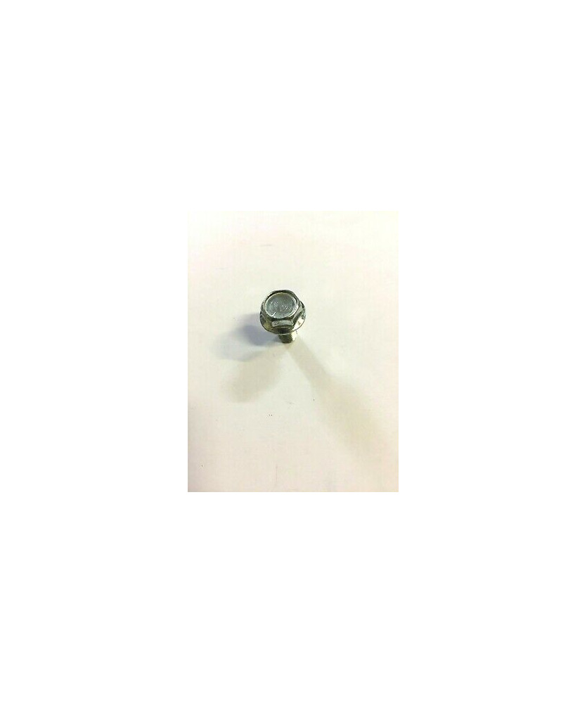 VITE TE FLANGIATO 8X15 PASS.1 25