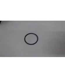 ANELLO OR 205