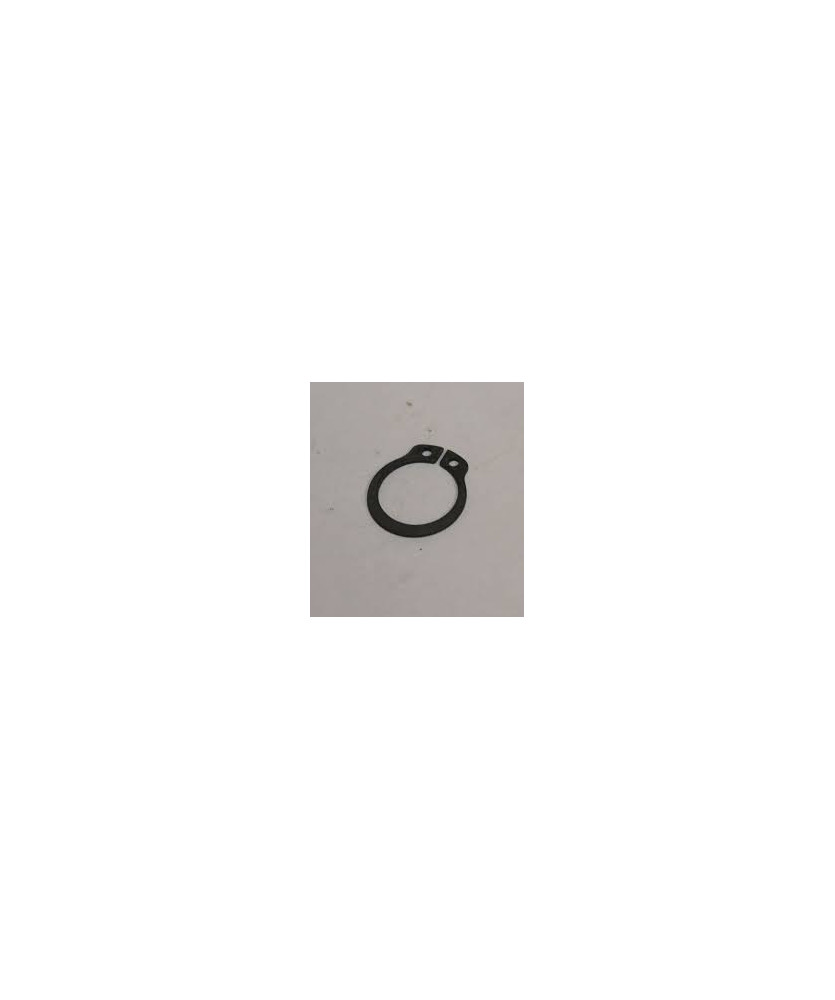 ANELLO SEEGER PER ALBERO D.15