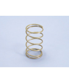 MOLLA DI CONTRASTO QUARTZ EVOLUTION BIAN CA