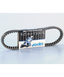 CINGHIA VARIATORE  WALLAROO-PEUT  FOX