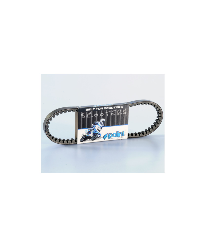 CINGHIA VARIATORE  WALLAROO-PEUT  FOX