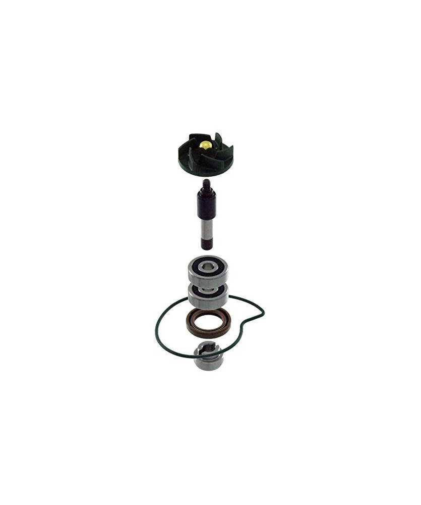 KIT REV P. QUA BEVERLY 300CC