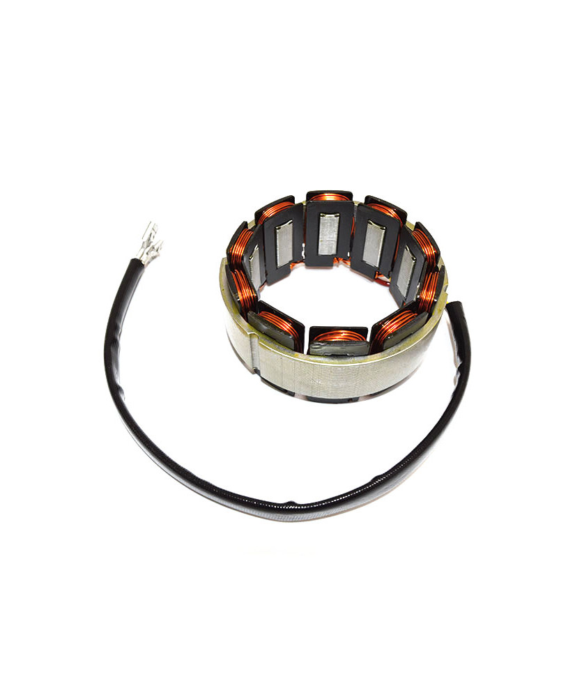 STATORE X ALTERNATORI 300W SAPRISA