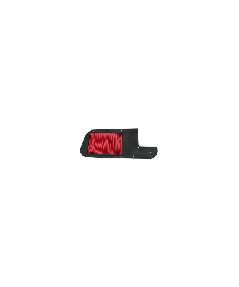 FILTRO ARIA  FORESIGHT 250