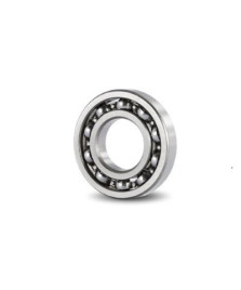 CUSCINETTO RADIALE 20X42X8 MM