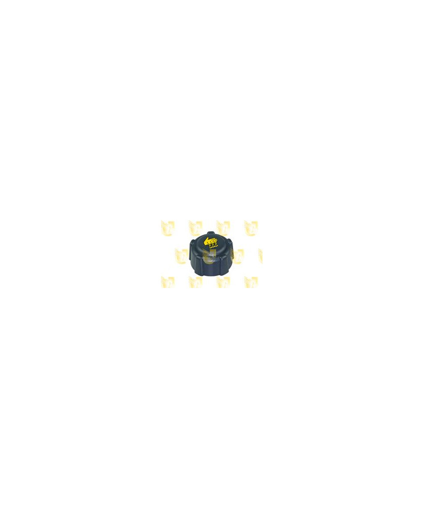 TAPPO SERB.ESP.DACIA/OPEL/RENAULT 1.4BAR