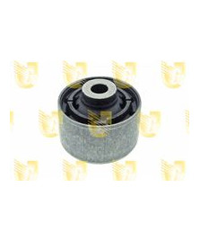 SILENTBLOCK PONTE POST. QASHQAI TT