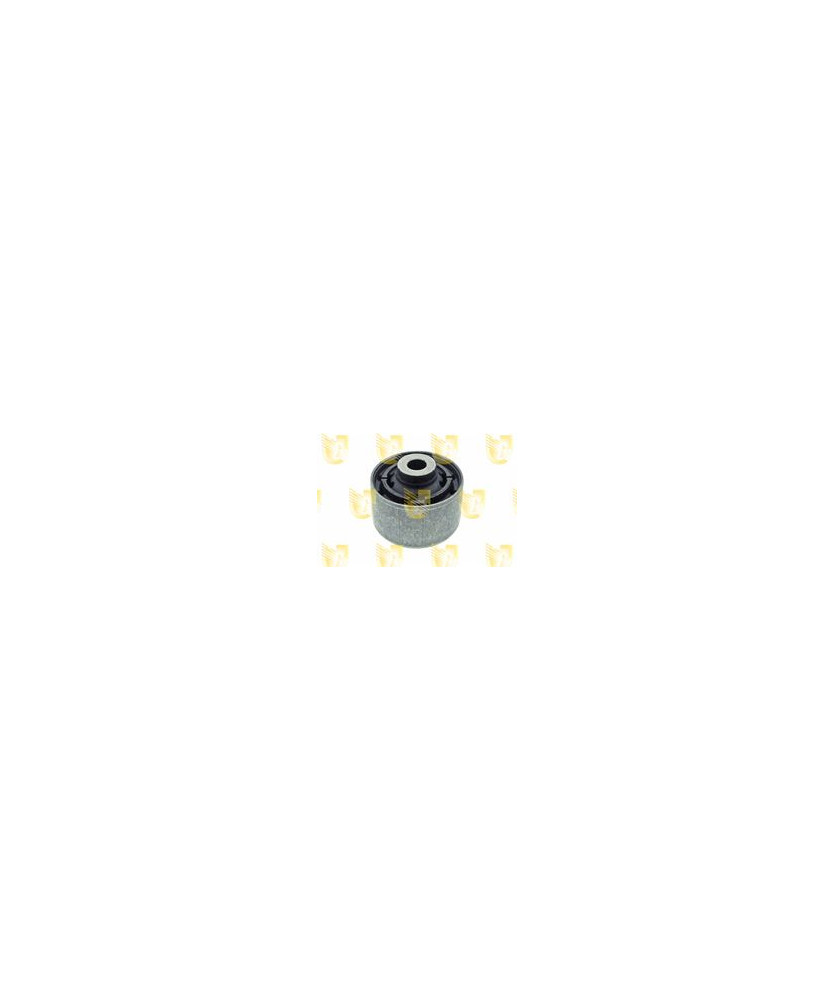 SILENTBLOCK PONTE POST. QASHQAI TT