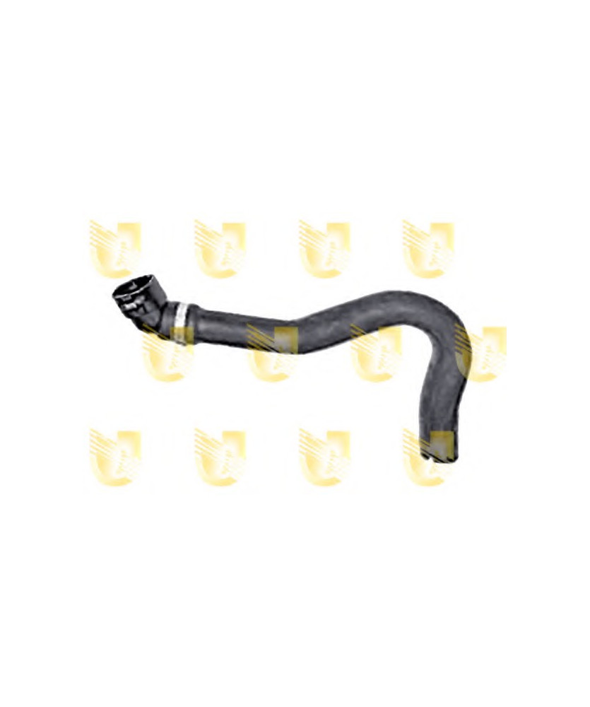 ICOTTOSUP.RAD.N.PANDA 1 3 SDI TT  04