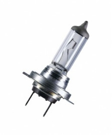 LAMPADA H7 BULB CARDBOARD ESSENTIAL