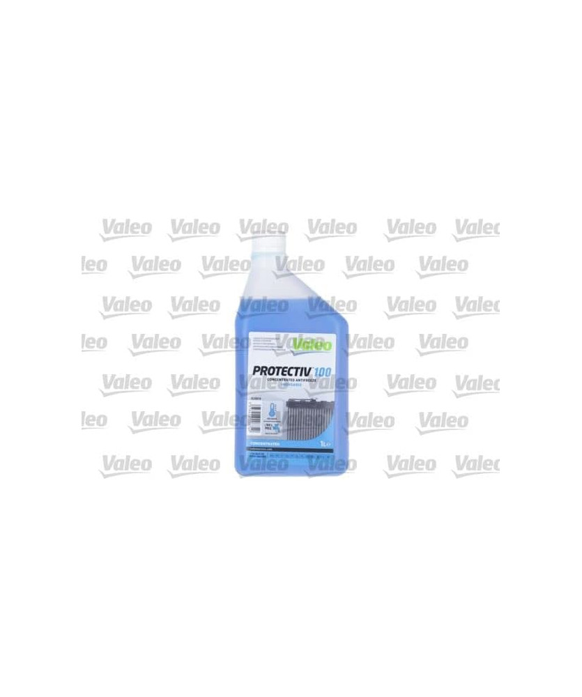 LIQUIDO PROTETTIVO 100 INORG. 1L BLU