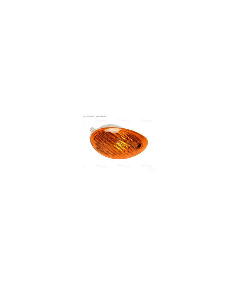 INDICATORE ANT.NEOS YN 50 100 OVETTO