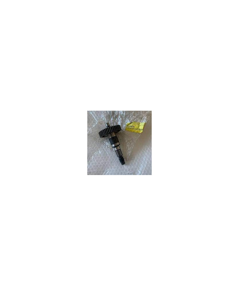 ASSE RUOTA POSTERIORE ZIP RST