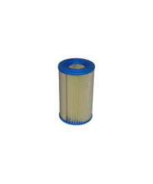 FILTRO ARIA APE POKER(BENZINA)