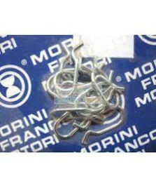 MOLLA AGGAN.CAPPELL. S5K GRIZZLY 10 12