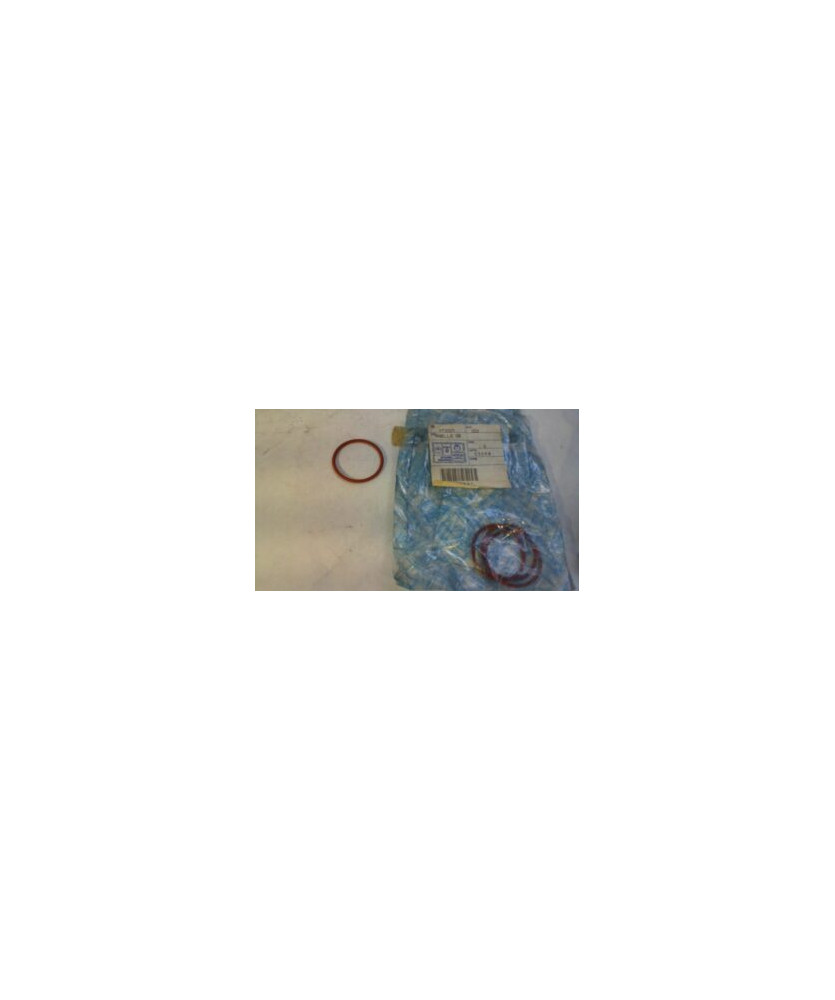 ANELLO ORING INIETTORI E CORPO FARFALLATO QUARGO PORTER LIGIER