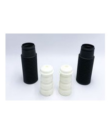 KIT PARAPOLVERE ATECSO                  PUNTO EVO 13MJ