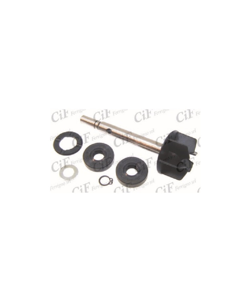 KIT REVISIONE POMPA QUA MOTORI ROTAX 1