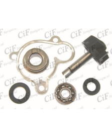 KIT REVISIONE POMPA QUA YAMAHA MAJESTY 250