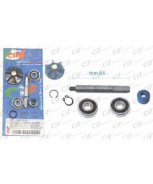 KIT REVISIONE POMPA H20 MOTORI SCOOTER   50CC