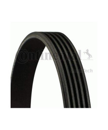 Cinghia Poly-V 5PK1030 SAXO 1.0  1.1
