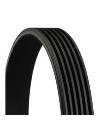 CINGHIA POLY-V 6PK1090ELAST CITR C4 1.6D PEU 306 1.8