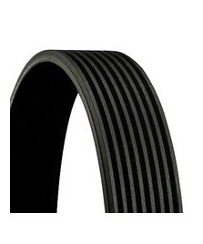 CINGHIA 8PK1670