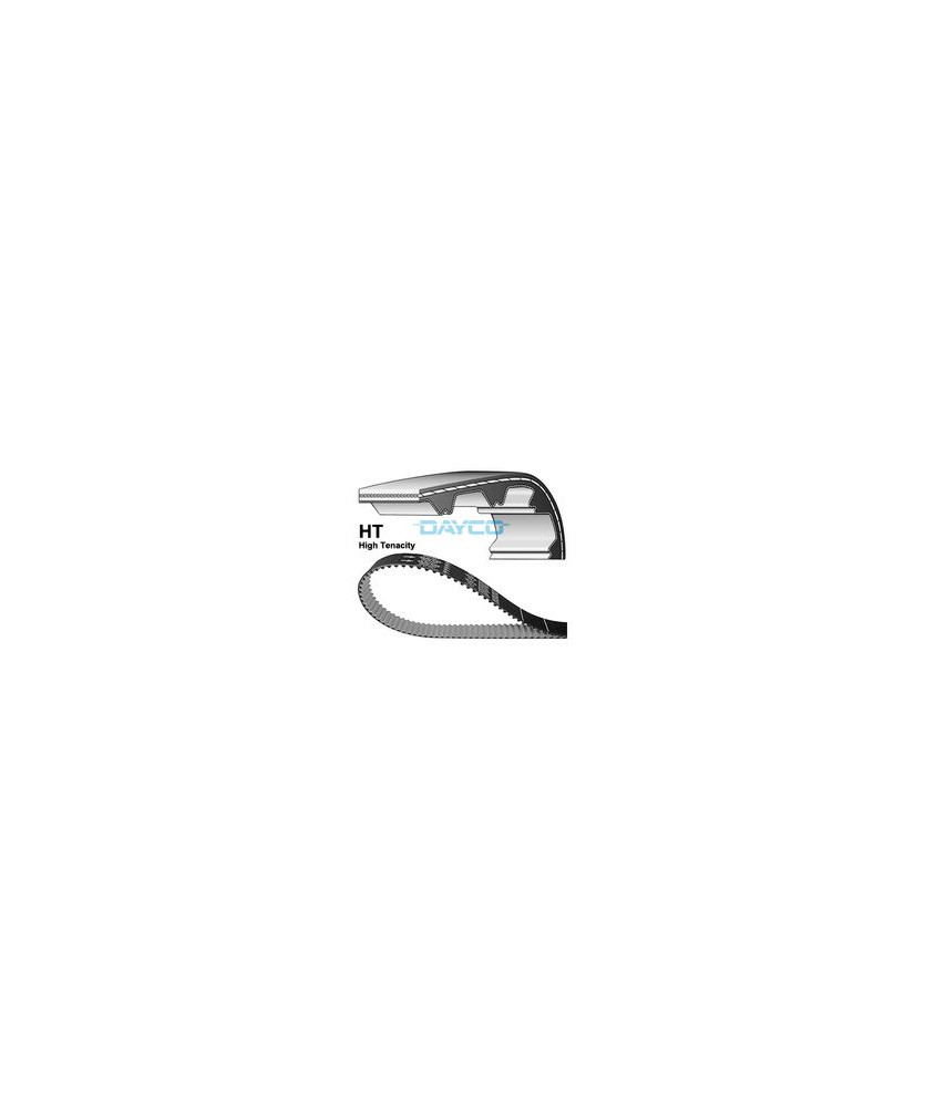 CINGHIA DISTRIBUZIONE 141 X 300HT --T.BE