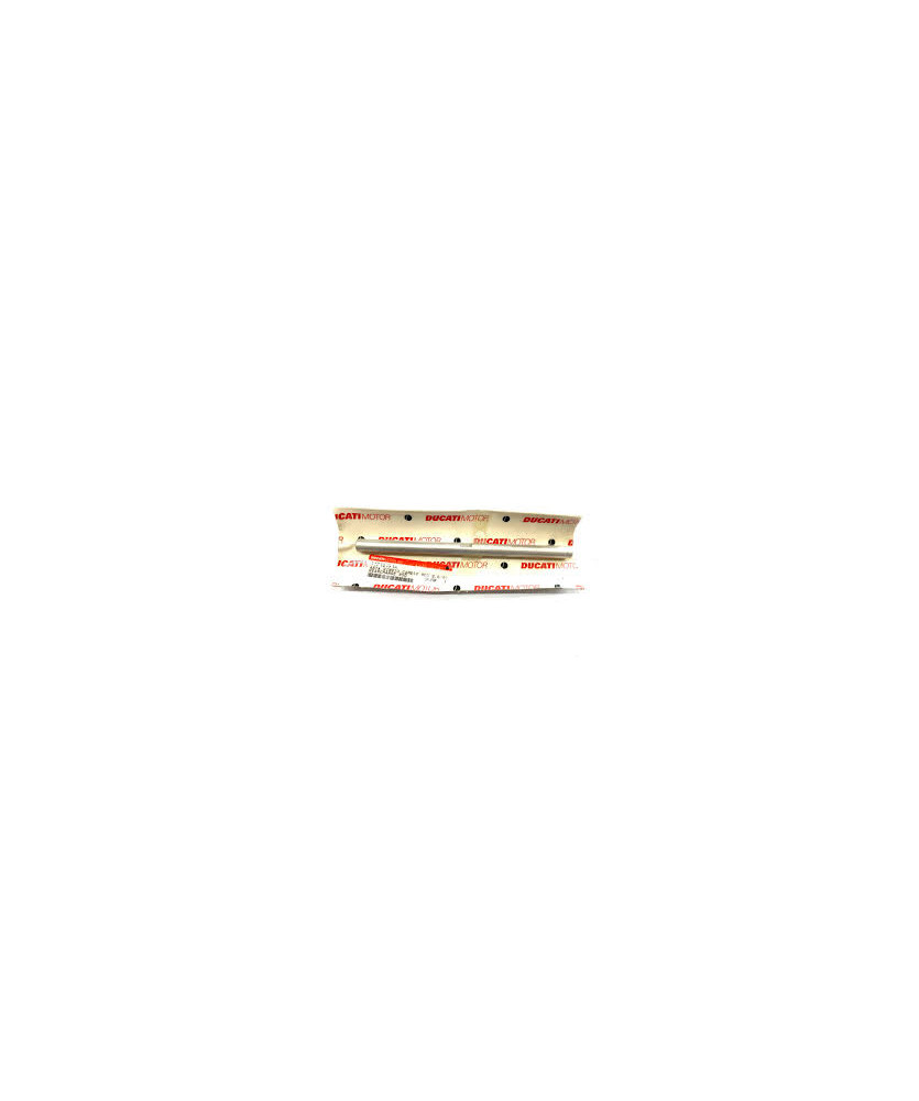 ASTA RINVIO CAMBIO MONSTER 620-750 2003