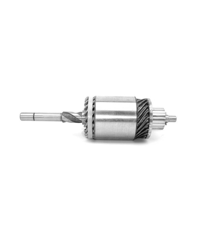 INDOTTO MOTORINO BOSCH 2004004075