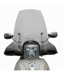 PARABREZZA CLASSIC BEVERLY 125-300       ASTE VERNICIATE E SERIGRAFIA