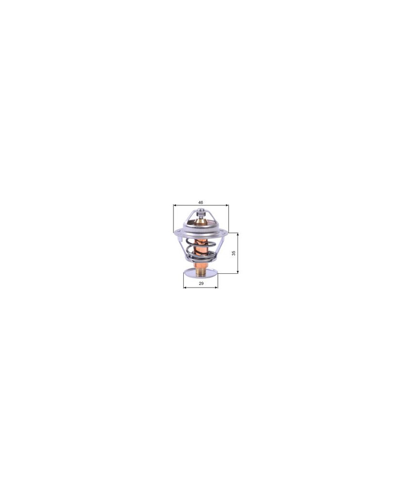 TH10489G1 TERMOSTATO                     SAXO - 106 - MICRA