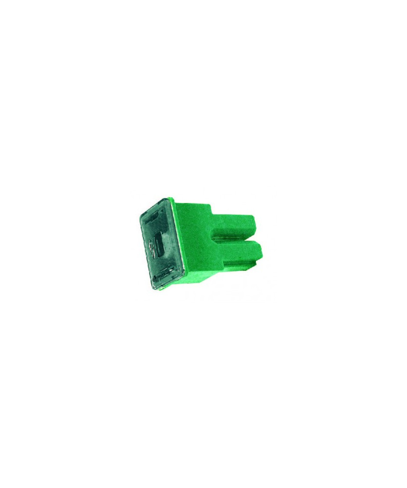 FUSIBILE VETT. GIAPP.  40A  VERDE