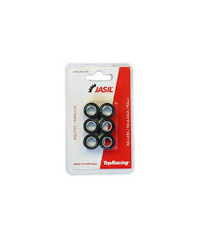 RULLI VARIATORE 17X12MM GR.5 0 (6PZ)