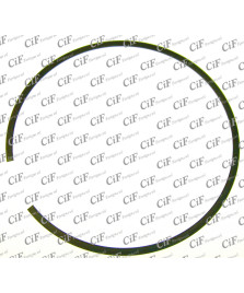 ANELLO ELASTICO X CHIUSURA GRUPPO FRIZ