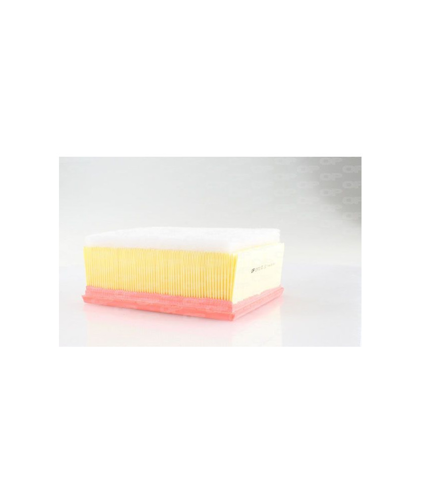 FILTRO ARIA  PICASSO 2.0 HDI      PEUT 206-306