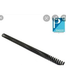 MOLLA SOSPENSIONE ANTERIORE ZIP FIST RID