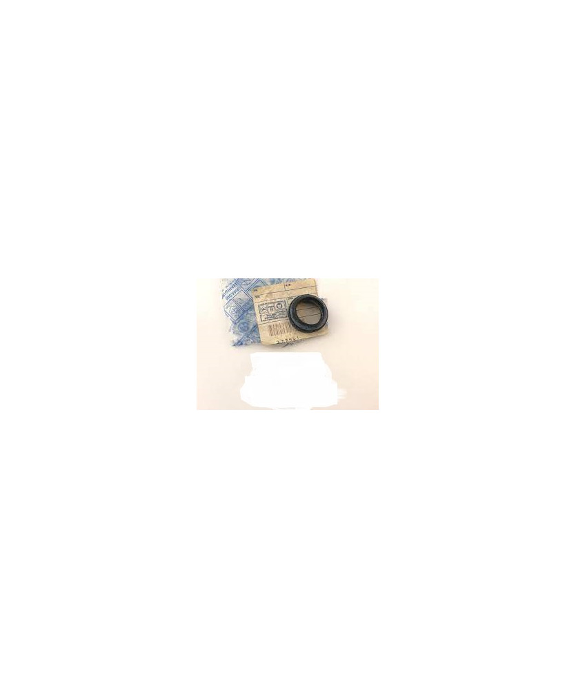 PARAPOLVERE FORCELLA TYPHOON NTT NRG MC2