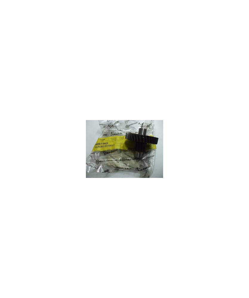 ALBERO DI RINVIO RUOTA LIBERTY 125